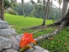 bali826