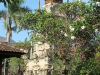 bali1114