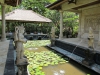 bali1149
