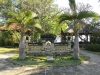 bali995