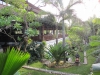bali1241