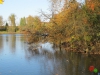 Rombergpark30