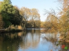 Rombergpark31