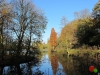 Rombergpark34