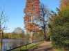 Rombergpark36