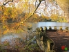 Rombergpark37