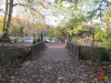 Rombergpark49